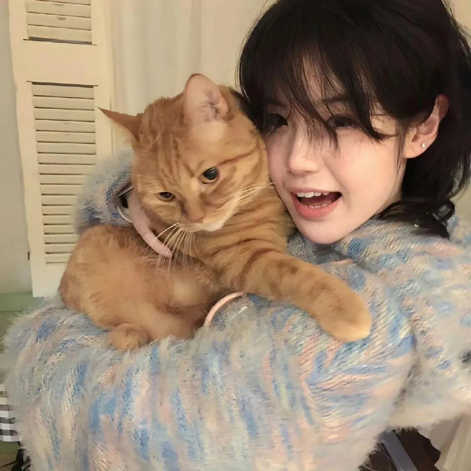 极品婆母洗白日常